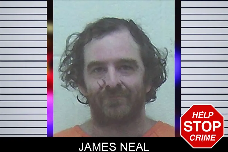 James Neal Mugshots