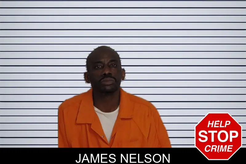 James Nelson mugshot
