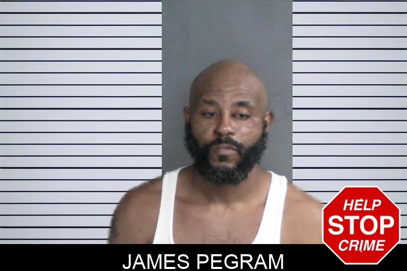 James Pegram mugshot – Twiggs County , Georgia James Pegram mugshot