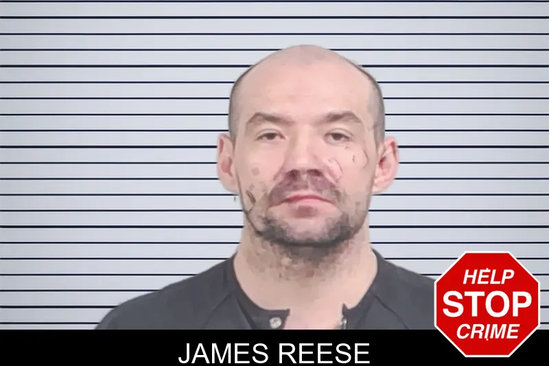 James Reese Mugshots