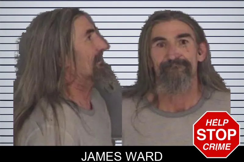 James Ward Mugshots