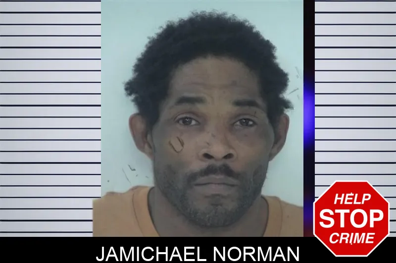 Jamichael Norman Mugshots