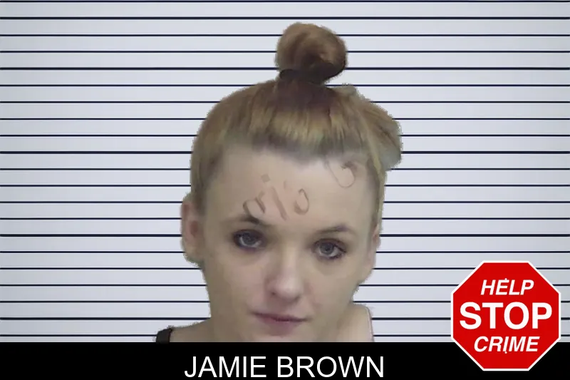 Jamie Brown mugshot
