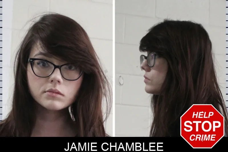 Jamie Chamblee Mugshots