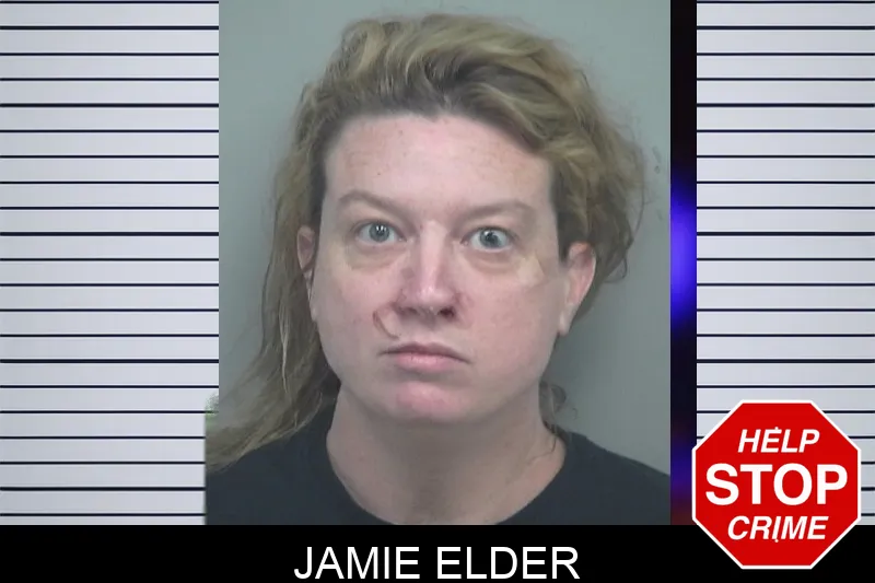 Jamie Elder mugshot – Gwinnett County , Georgia Jamie Elder mugshot