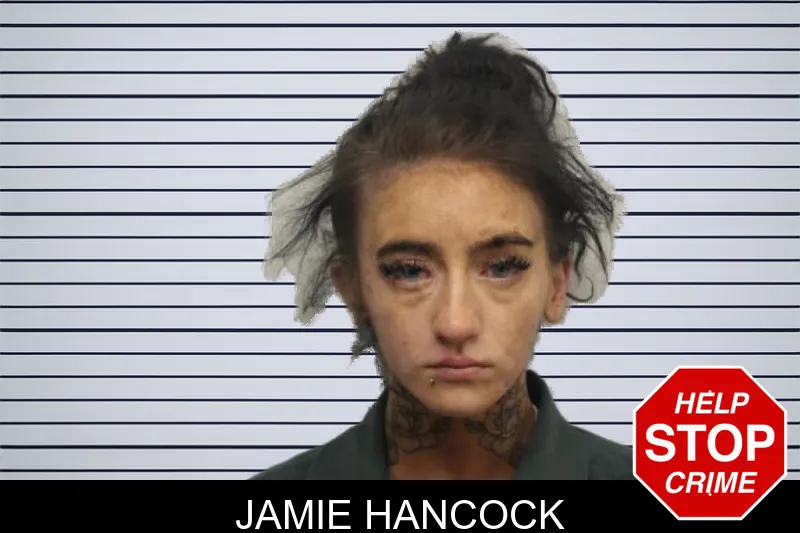 Jamie Hancock mugshot – Chatham County , Georgia Jamie Hancock mugshot
