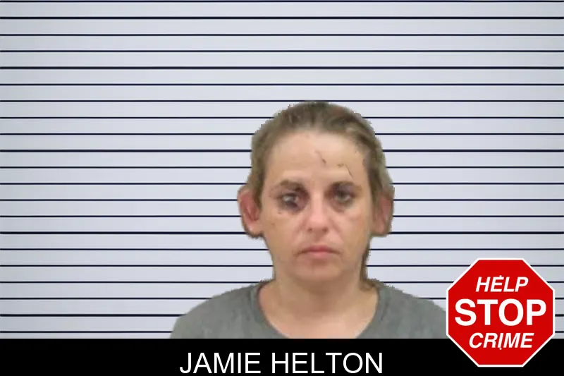 Jamie Helton mugshot