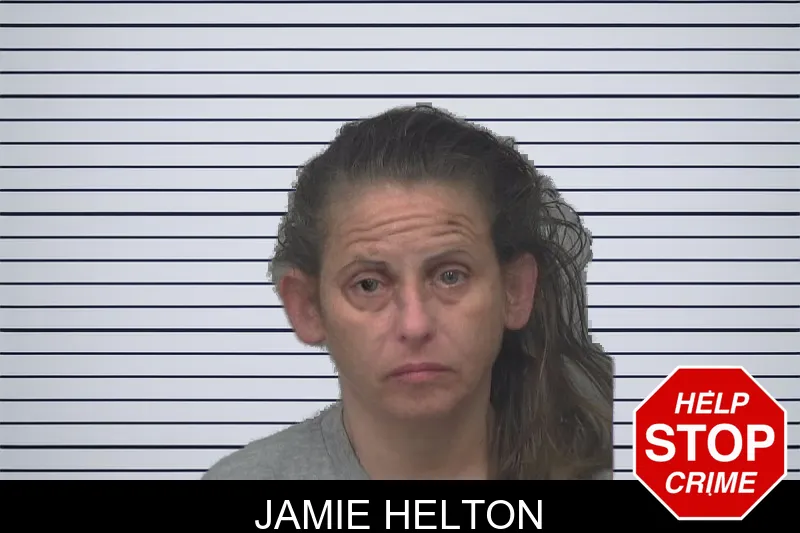Jamie Helton mugshot