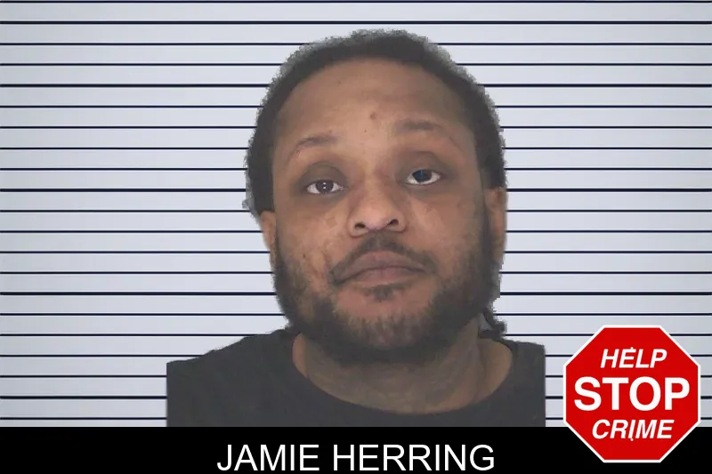Jamie Herring mugshot – Douglas County , Georgia Jamie Herring mugshot