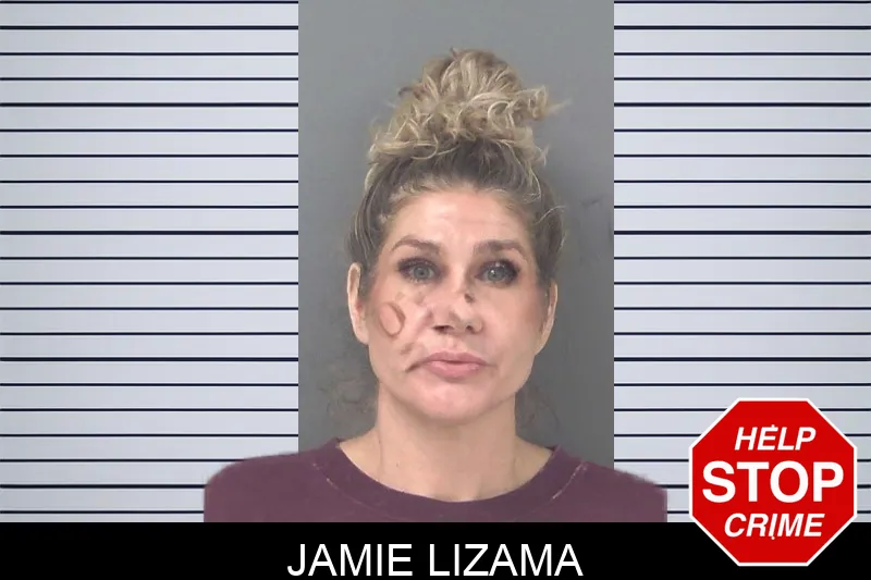 Jamie Lizama Mugshots