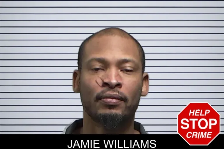 Jamie Williams mugshot – Tift County , Georgia Jamie Williams