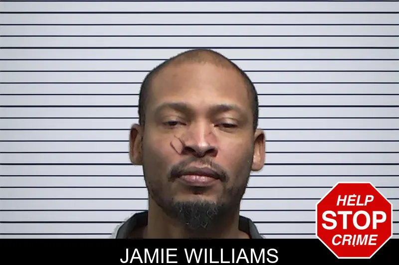 Jamie Williams Mugshots