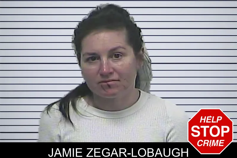 Jamie Zegar-Lobaugh mugshot