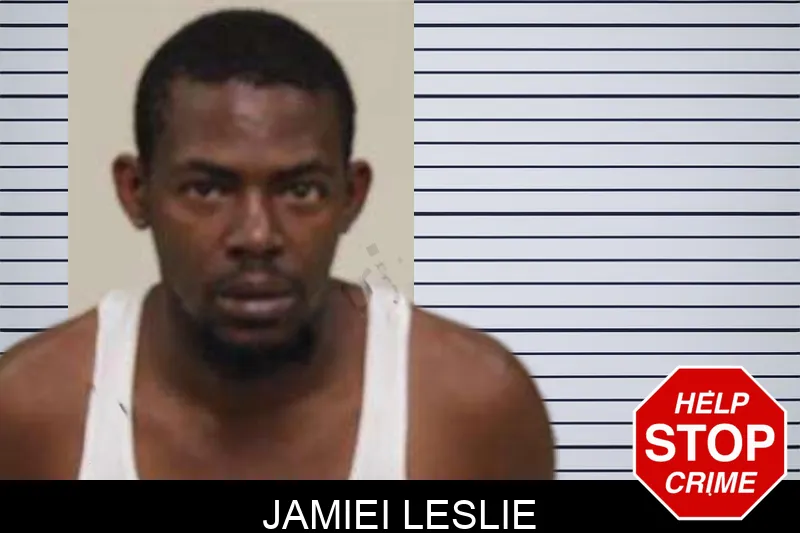Jamiei Leslie Mugshots