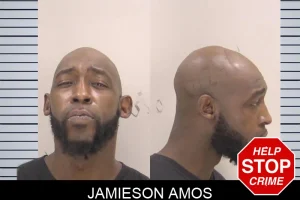 Jamieson Amos mugshot