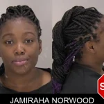 Jamiraha Norwood Mugshots