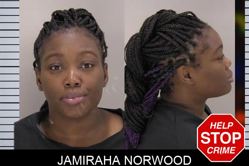 Jamiraha Norwood Mugshots
