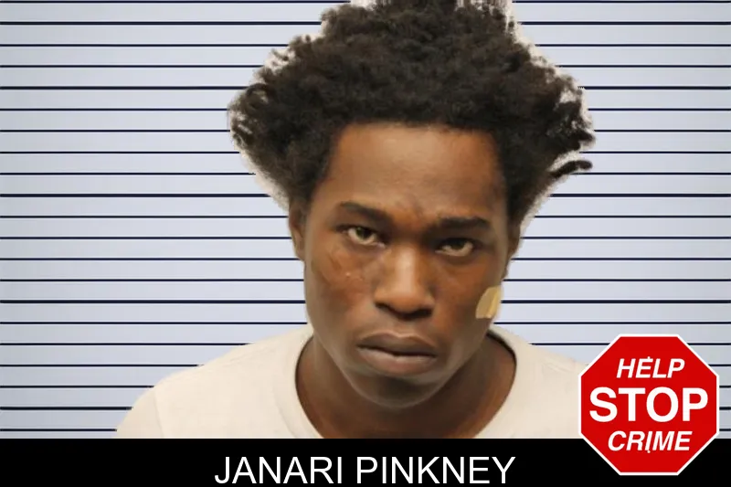 Janari Pinkney mugshot