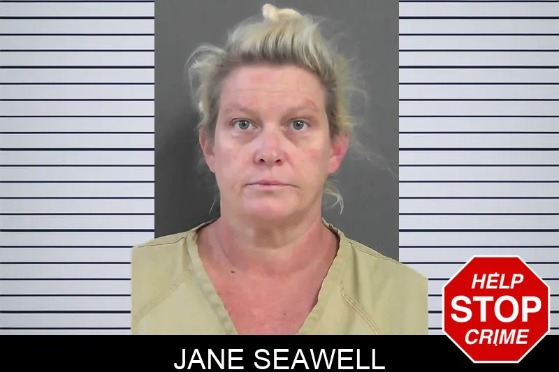 Jane Seawell mugshot