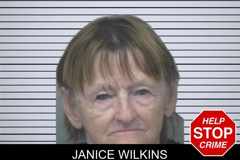 Janice Wilkins Mugshots