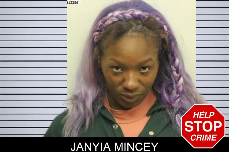 Janyia Mincey mugshot – Chatham County , Georgia Janyia Mincey mugshot
