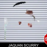 Jaquan Scurry Mugshots