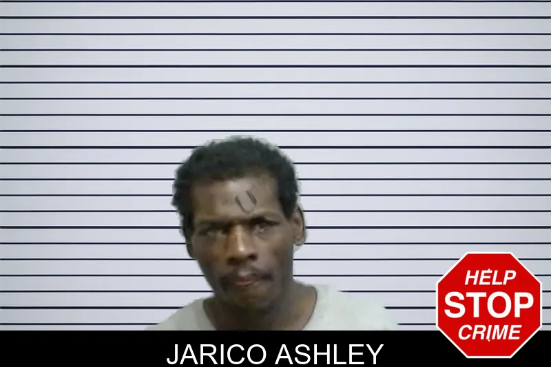 Jarico Ashley Mugshots