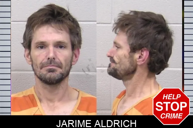 Jarime Aldrich Mugshots
