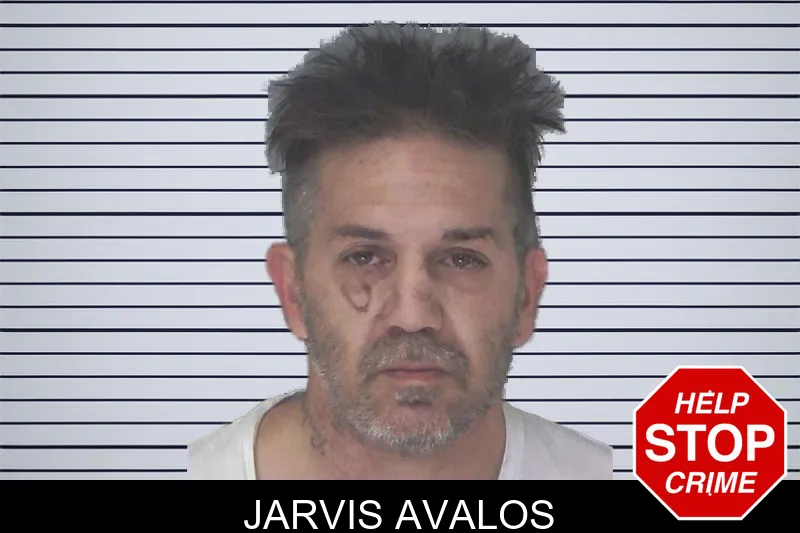 Jarvis Avalos Mugshots