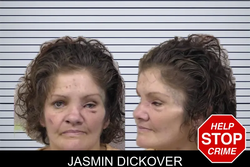 Jasmin Dickover mugshot