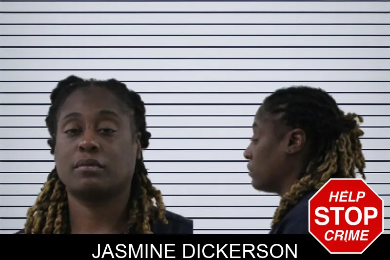 Jasmine Dickerson mugshot – Houston County , Georgia Jasmine Dickerson mugshot