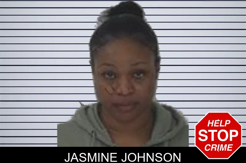 Jasmine Johnson mugshot – Fayette County , Georgia Jasmine Johnson mugshot