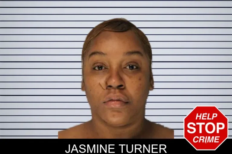 Jasmine Turner mugshot – Hall County , Georgia Jasmine Turner