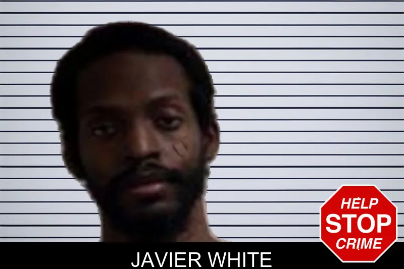 Javier White Mugshots