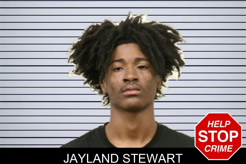 Jayland Stewart mugshot – Bulloch County , Georgia Jayland Stewart mugshot
