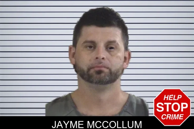Jayme McCollum