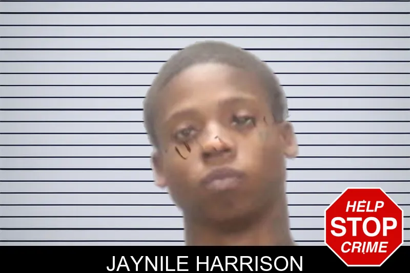Jaynile Harrison Mugshots
