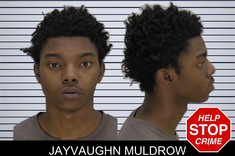 Jayvaughn Muldrow Mugshots