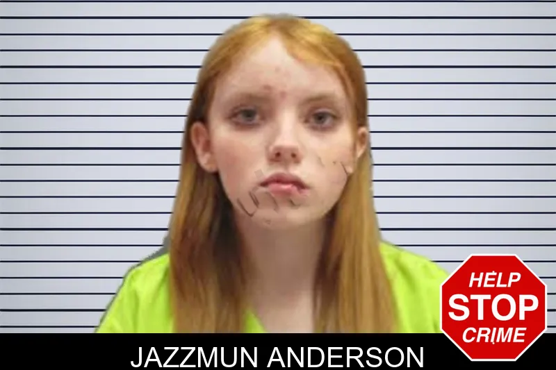 Jazzmun Anderson mugshot