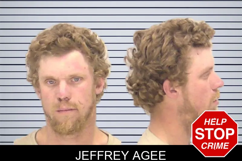 Jeffrey Agee mugshot