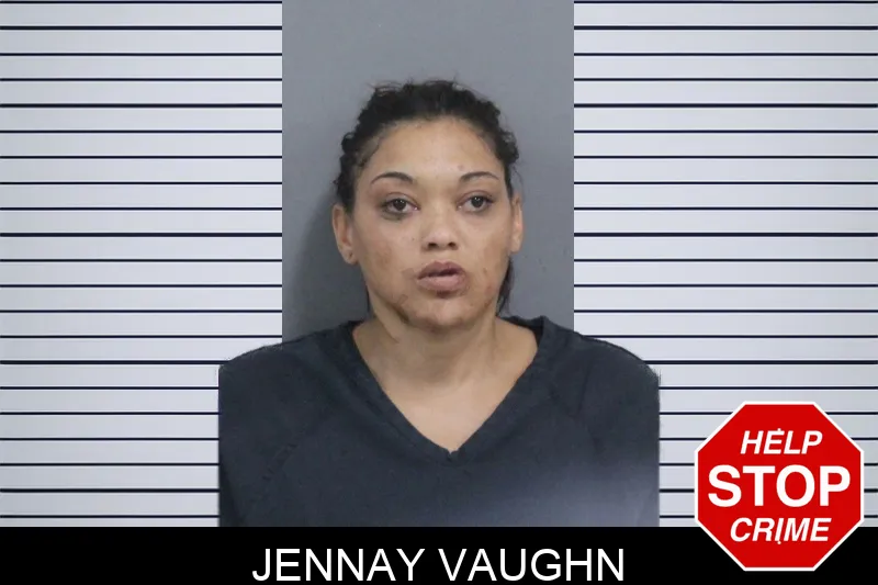 Jennay Vaughn mugshot – Catoosa County , Georgia Jennay Vaughn mugshot