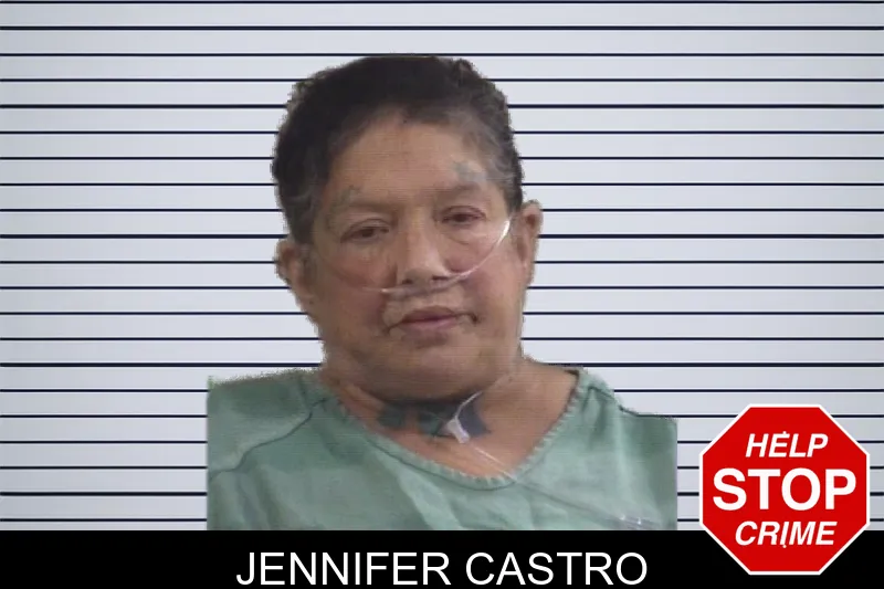 Jennifer Castro Mugshots
