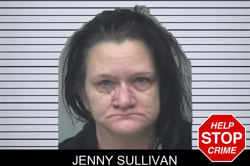 Jenny Sullivan mugshot