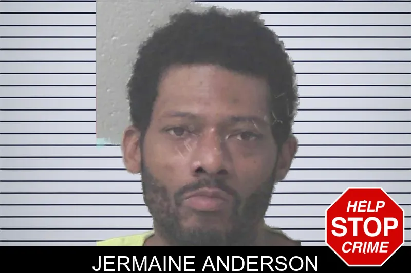 Jermaine Anderson Mugshots