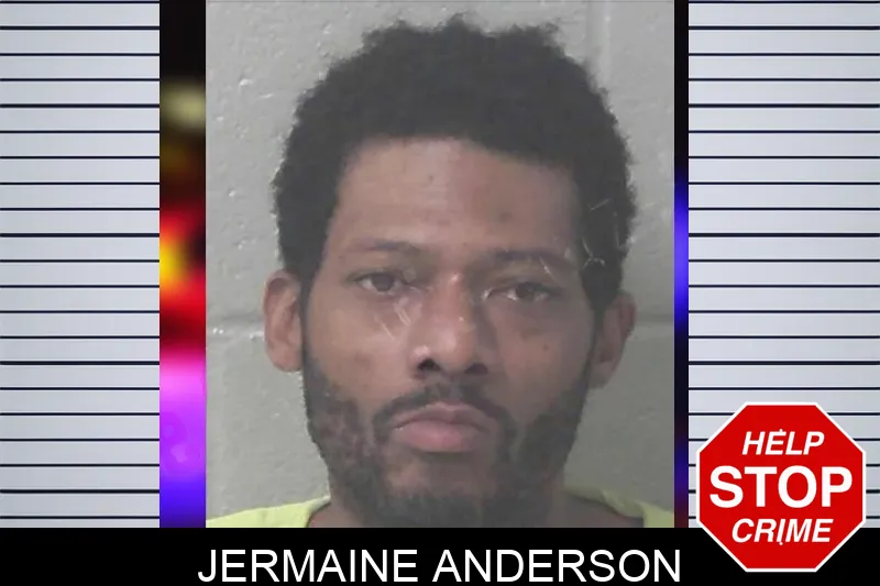Jermaine Anderson Mugshots