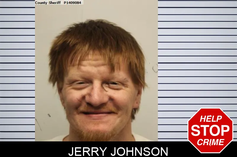 Jerry Johnson mugshot – Chatham County , Georgia Jerry Johnson mugshot
