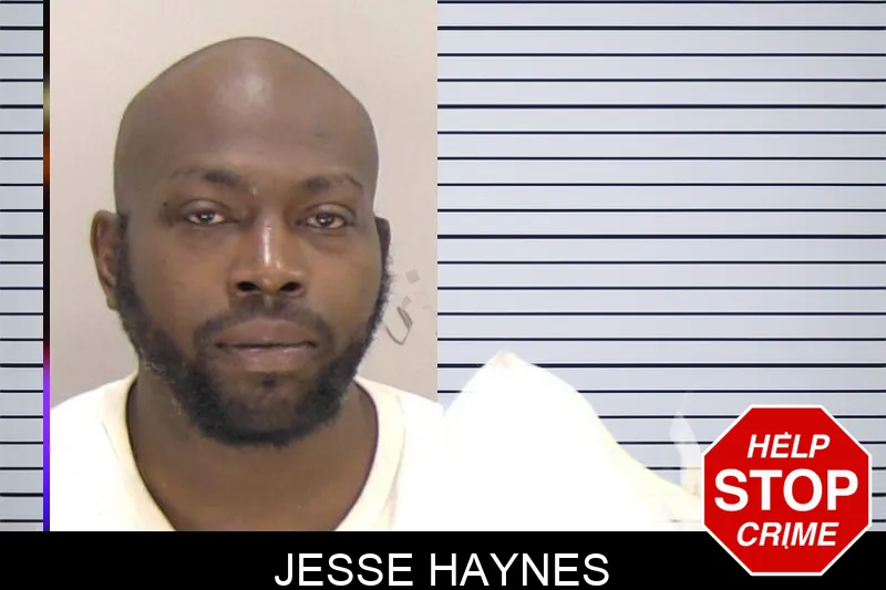 Jesse Haynes Mugshots
