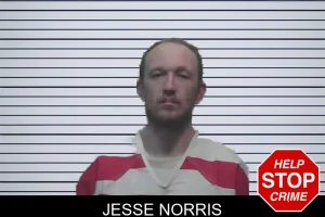 Jesse Norris mugshot