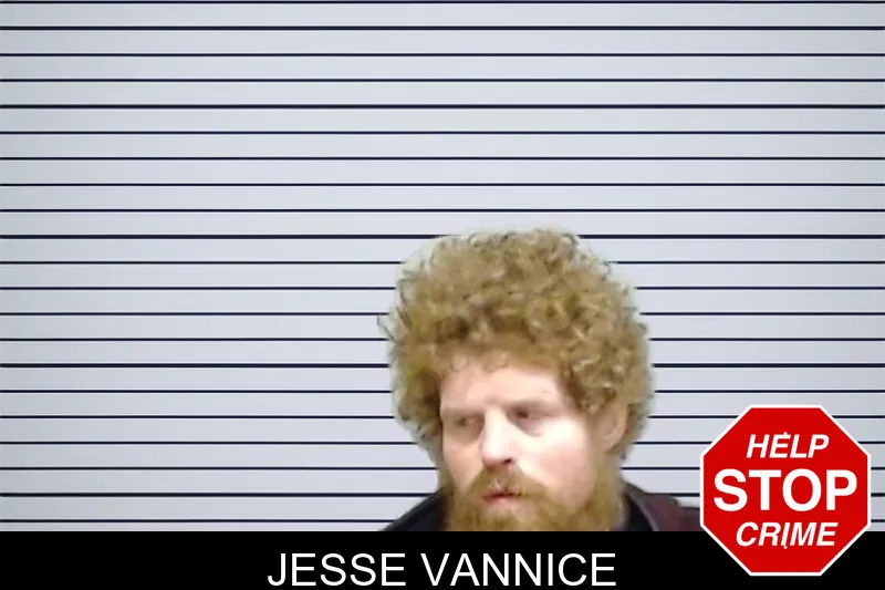 Jesse Vannice Mugshots