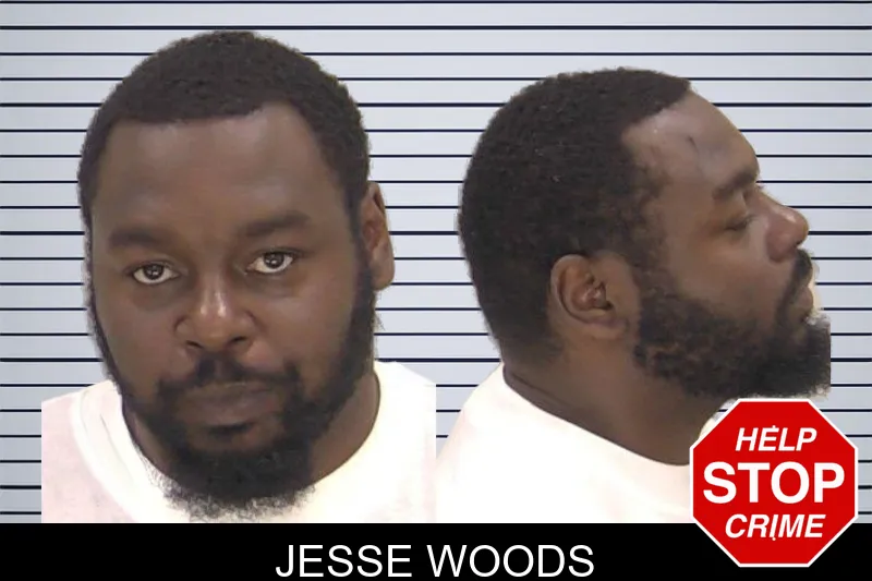 Jesse Woods mugshot